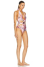 SILVIA TCHERASSI Leilou One Piece Swimsuit in Blush Prismatic Abstract Zebra, view 2, click to view large image.
