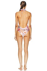 SILVIA TCHERASSI Leilou One Piece Swimsuit in Blush Prismatic Abstract Zebra, view 3, click to view large image.