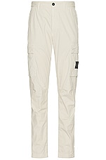 Stone Island Pants in Plaster, view 1, click to view large image.