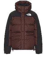 The North Face Hmlyn Down Parka in Coal Brown & Tnf Black, view 1, click to view large image.