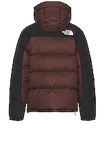 The North Face Hmlyn Down Parka in Coal Brown & Tnf Black, view 2, click to view large image.