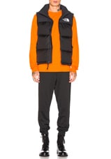 The North Face 1996 Retro Nuptse Vest in TNF Black, view 5, click to view large image.