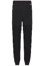 The North Face Denali Pants in Tnf Black, view 2, click to view large image.