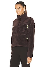The North Face Extreme Pile Sherpa Fleece Pullover in Coal Brown, view 3, click to view large image.