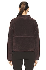 The North Face Extreme Pile Sherpa Fleece Pullover in Coal Brown, view 4, click to view large image.