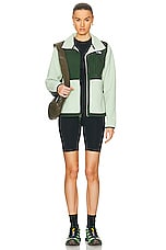 The North Face Denali Jacket in Misty Sage & Pine Needle, view 5, click to view large image.