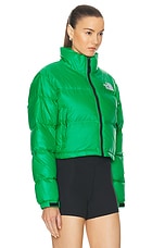 The North Face Nuptse Short Jacket in Optic Emerald, view 3, click to view large image.