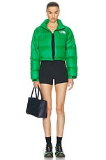 The North Face Nuptse Short Jacket in Optic Emerald, view 6, click to view large image.