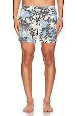 TOM FORD Tropical Swim Short in New Tropical Flower Blue On Cream, view 4, click to view large image.