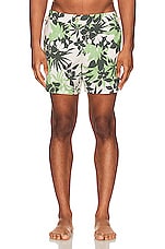 TOM FORD Tropical Swim Short in New Tropical Flower Green On Cream, view 5, click to view large image.
