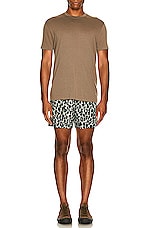 TOM FORD Printed Poplin Swim Short in Grey Leopard, view 5, click to view large image.