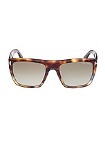 TOM FORD Alberto Sunglasses in Shiny Vintage Grey Havana & Brown, view 1, click to view large image.