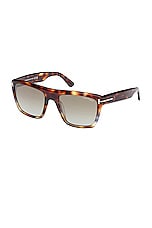 TOM FORD Alberto Sunglasses in Shiny Vintage Grey Havana & Brown, view 2, click to view large image.
