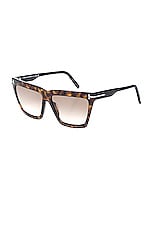 TOM FORD Eden Sunglasses in Shiny Dark Havana, view 1, click to view large image.