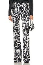 TOM FORD Leopard Printed Flare Pant in Chalk & Black, view 1, click to view large image.