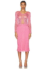 TOM FORD Below the Knee Skirt in Rose Bloom, view 4, click to view large image.