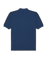 TS(S) Cotton Pique Jersey Big Polo Shirt in BLUE, view 2, click to view large image.