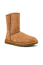 UGG M Classic Short in Chestnut, view 2, click to view large image.