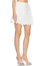 Ulla Johnson Taryn Skirt in Cowrie, view 2, click to view large image.