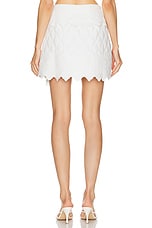 Ulla Johnson Taryn Skirt in Cowrie, view 4, click to view large image.