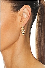 Valentino Garavani Rockstud Earrings in Oro, view 2, click to view large image.
