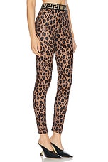 VERSACE Leopard Leggings in Chestnut & Gold, view 2, click to view large image.