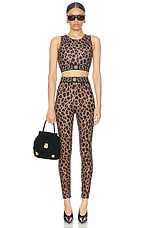 VERSACE Leopard Leggings in Chestnut & Gold, view 5, click to view large image.