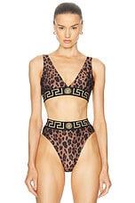 VERSACE Triangle Bikini Top in Chestnut & Gold, view 1, click to view large image.