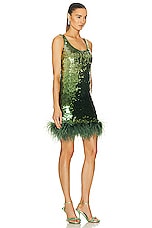 Valentino Embroidered Feather Dress in Celery Green, view 2, click to view large image.