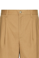 WAO The Pleated Short in Brown, view 3, click to view large image.