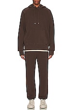 WAO The Pullover Hoodie in brown, view 4, click to view large image.