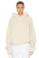 WAO The Pullover Hoodie in natural, view 1, click to view large image.