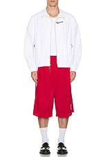 Willy Chavarria Tacombi Pleated Basketball Shorts in Red & White, view 6, click to view large image.