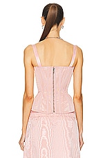 Wiederhoeft Wasp Corset Top in Blush, view 3, click to view large image.