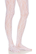 WARDROBE.NYC Lace Tights in Off White, view 5, click to view large image.
