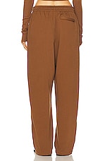 WARDROBE.NYC HB Track Pant in Brown, view 3, click to view large image.