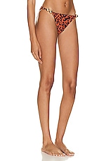 Wolford Side String Gold Bubble Bikini Bottom in Bronze Print, view 2, click to view large image.
