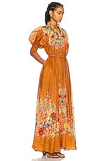 Zimmermann Alight Swing Maxi Dress in Tan Flora, view 2, click to view large image.