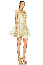 Zimmermann Harmony Frilled Mini Dress in Citrus Garden Print, view 2, click to view large image.