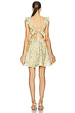 Zimmermann Harmony Frilled Mini Dress in Citrus Garden Print, view 3, click to view large image.