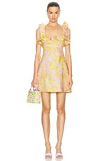 Zimmermann Golden Ruffle Mini Dress in Pink & Gold Floral, view 1, click to view large image.