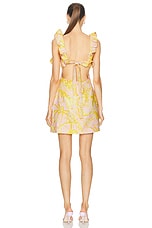 Zimmermann Golden Ruffle Mini Dress in Pink & Gold Floral, view 3, click to view large image.
