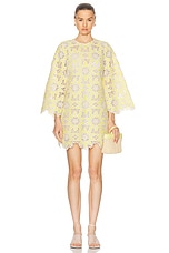 Zimmermann Golden Lace Mini Dress in Cream & Yellow, view 1, click to view large image.