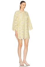 Zimmermann Golden Lace Mini Dress in Cream & Yellow, view 2, click to view large image.