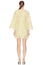 Zimmermann Golden Lace Mini Dress in Cream & Yellow, view 3, click to view large image.
