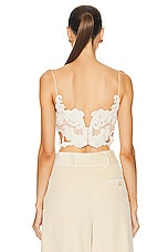 Zimmermann Sensory Velvet Lace Bodice Top in Macadamia, view 3, click to view large image.