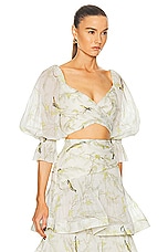 Zimmermann Pleated Bodice Top in Acacia Birds, view 2, click to view large image.