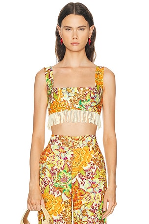 Alemais Lana Bralette in Orange,Yellow