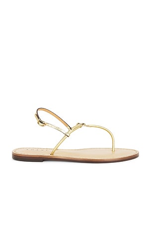 Amanu The Naivasha Sandal in Metallic Gold