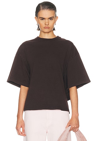 AGOLDE Theo T-shirt in Brown